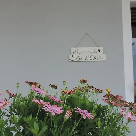 Soffio D'estate Coccorino